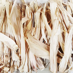 corn-2