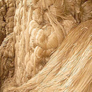 jute-2